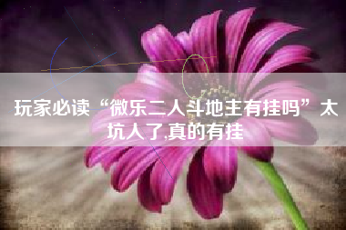 玩家必读“微乐二人斗地主有挂吗	”太坑人了,真的有挂