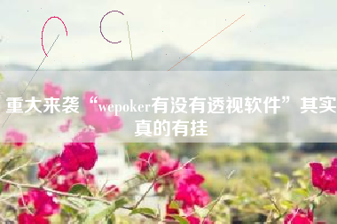 重大来袭“wepoker有没有透视软件	”其实真的有挂