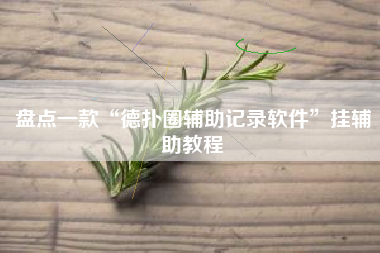盘点一款“德扑圈辅助记录软件	”挂辅助教程