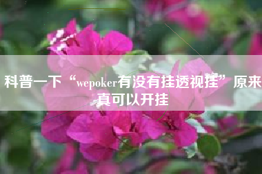 科普一下“wepoker有没有挂透视挂”原来真可以开挂
