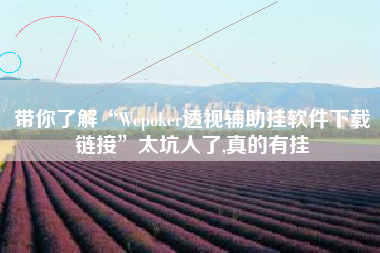带你了解“Wepoker透视辅助挂软件下载链接”太坑人了,真的有挂