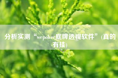 分析实测“wepoker底牌透视软件”(真的有挂)