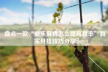 盘点一款“微乐麻将怎么提高胜率”真实开挂技巧分享