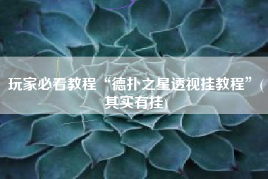 玩家必看教程“德扑之星透视挂教程”(其实有挂)