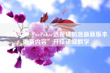 今日实测“wePoKer透视辅助器最新版本更新内容”开挂详细教学