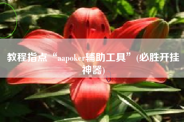 教程指点“aapoker辅助工具	”(必胜开挂神器)