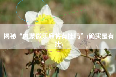 揭秘“内蒙微乐麻将有挂吗”(确实是有挂)