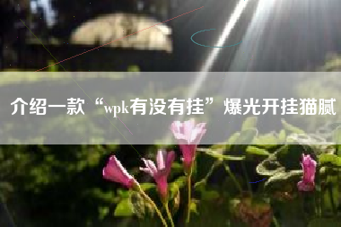 介绍一款“wpk有没有挂	”爆光开挂猫腻