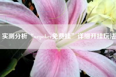实测分析“wepoker免费挂	”详细开挂玩法