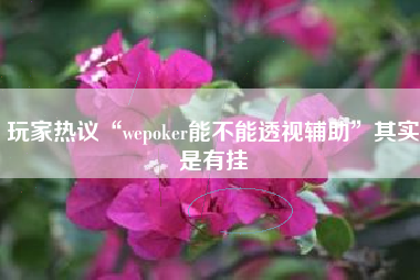 玩家热议“wepoker能不能透视辅助”其实是有挂