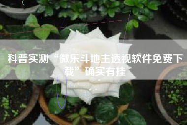 科普实测“微乐斗地主透视软件免费下载”确实有挂