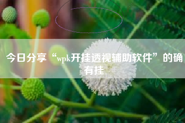 今日分享“wpk开挂透视辅助软件	”的确有挂