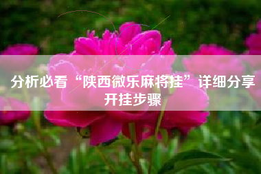 分析必看“陕西微乐麻将挂”详细分享开挂步骤