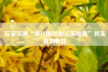 玩家实测“德扑圈控制玩家输赢”其实真的有挂