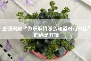 重磅揭秘“微乐麻将怎么知道对方开挂”的确是有挂