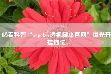 必看科普“wepoker透视脚本官网”爆光开挂猫腻