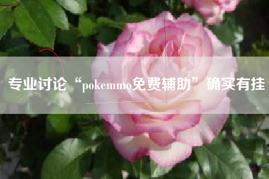 专业讨论“pokemmo免费辅助”确实有挂