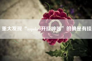 重大发现“aapoker开挂神器”的确是有挂