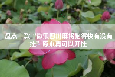 盘点一款“微乐四川麻将跑得快有没有挂	”原来真可以开挂