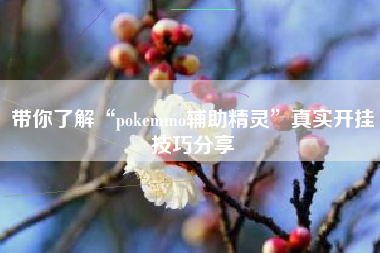 带你了解“pokemmo辅助精灵	”真实开挂技巧分享
