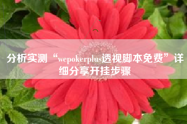 分析实测“wepokerplus透视脚本免费	”详细分享开挂步骤