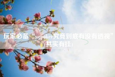 玩家必备“wepoker究竟到底有没有透视	”(其实有挂)