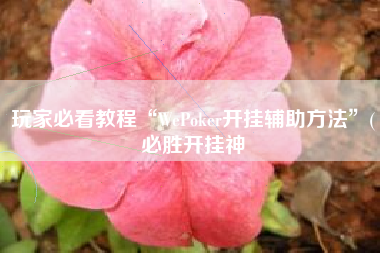 玩家必看教程“WePoker开挂辅助方法”(必胜开挂神