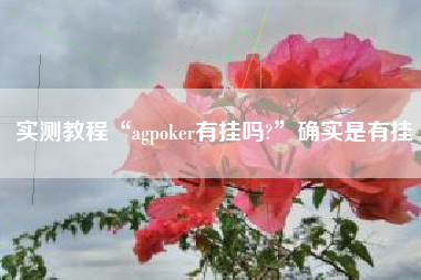 实测教程“agpoker有挂吗?”确实是有挂