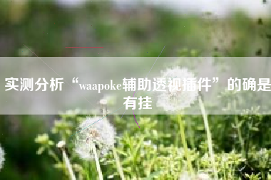 实测分析“waapoke辅助透视插件	”的确是有挂