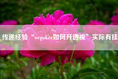 传递经验“wepoker如何开透视”实际有挂