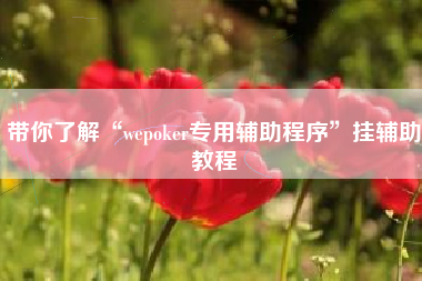 带你了解“wepoker专用辅助程序”挂辅助教程