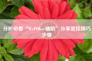 分析必看“WePOKer辅助”分享装挂技巧步骤