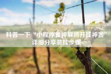 科普一下“小程序雀神麻将开挂神器”详细分享装挂步骤