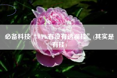必备科技“WPK有没有透视挂”(其实是有挂)