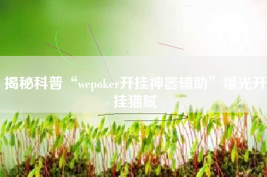 揭秘科普“wepoker开挂神器辅助	”爆光开挂猫腻