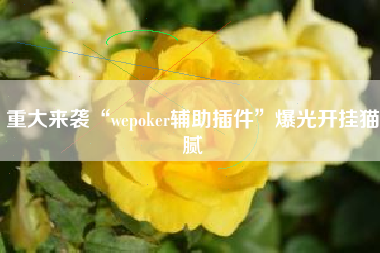 重大来袭“wepoker辅助插件”爆光开挂猫腻