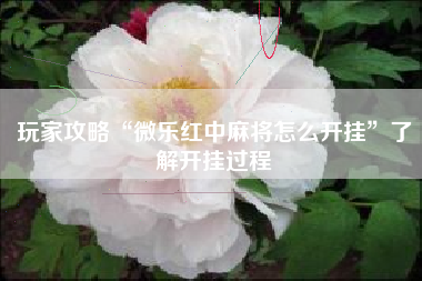 玩家攻略“微乐红中麻将怎么开挂”了解开挂过程