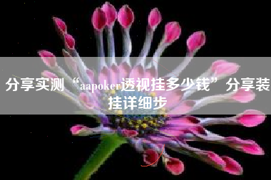 分享实测“aapoker透视挂多少钱”分享装挂详细步