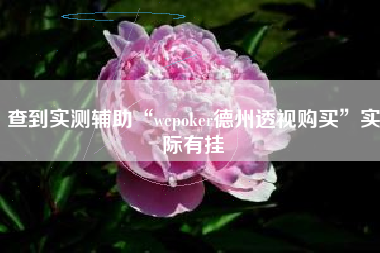查到实测辅助“wepoker德州透视购买	”实际有挂