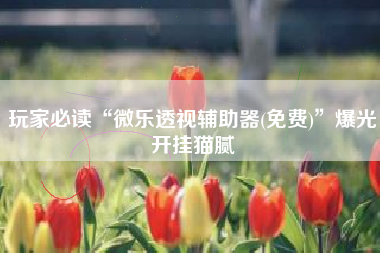 玩家必读“微乐透视辅助器(免费)”爆光开挂猫腻