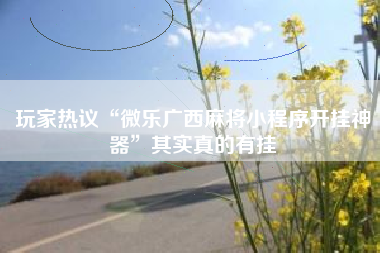 玩家热议“微乐广西麻将小程序开挂神器	”其实真的有挂