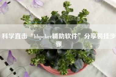 科学直击“hhpoker辅助软件	”分享装挂步骤