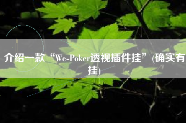 介绍一款“We-Poker透视插件挂	”(确实有挂)