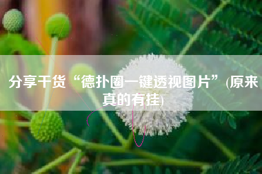 分享干货“德扑圈一键透视图片”(原来真的有挂)