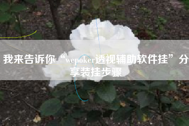 我来告诉你“wepoker透视辅助软件挂”分享装挂步骤