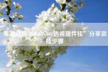 实测分享“We-Poker透视插件挂	”分享装挂步骤
