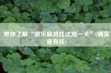 带你了解“微乐麻将挂试用一天	”(确实是有挂)
