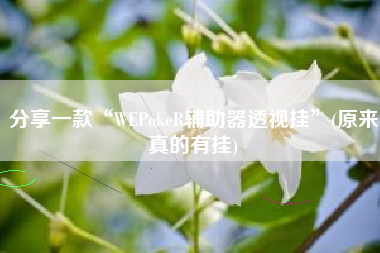 分享一款“WEPokeR辅助器透视挂”(原来真的有挂)