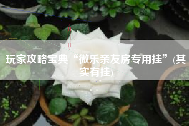 玩家攻略宝典“微乐亲友房专用挂”(其实有挂)