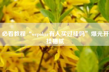必看教程“wepoker有人买过挂吗”爆光开挂猫腻